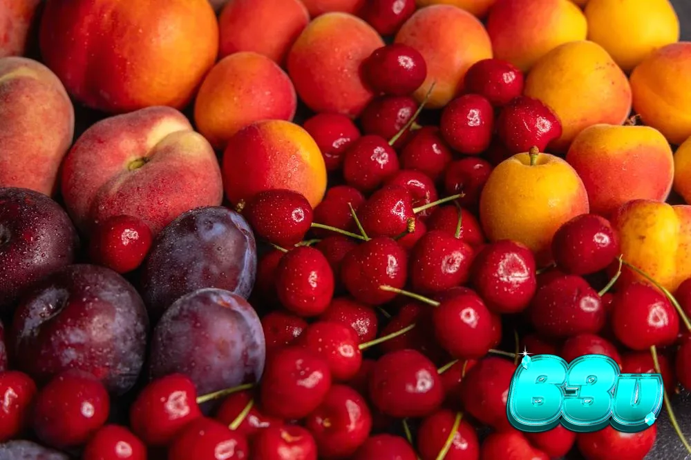 Seleção de novos slots da Amusnet com temas frutados e mecânicas modernas